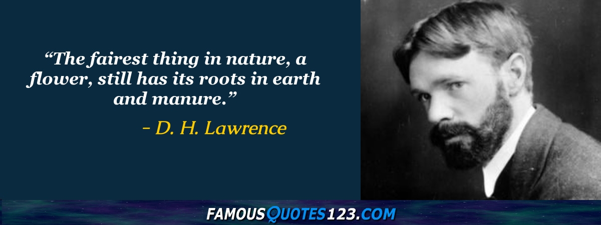 D. H. Lawrence